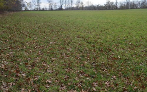 Property photo 4 - 80 Acres & Home - Property Offered in 4 Tracts from 2.3 to 30.0 Acres